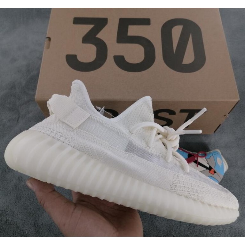 V2 Bone 1:1