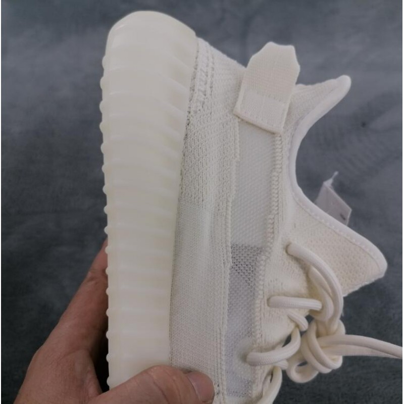 V2 Bone 1:1