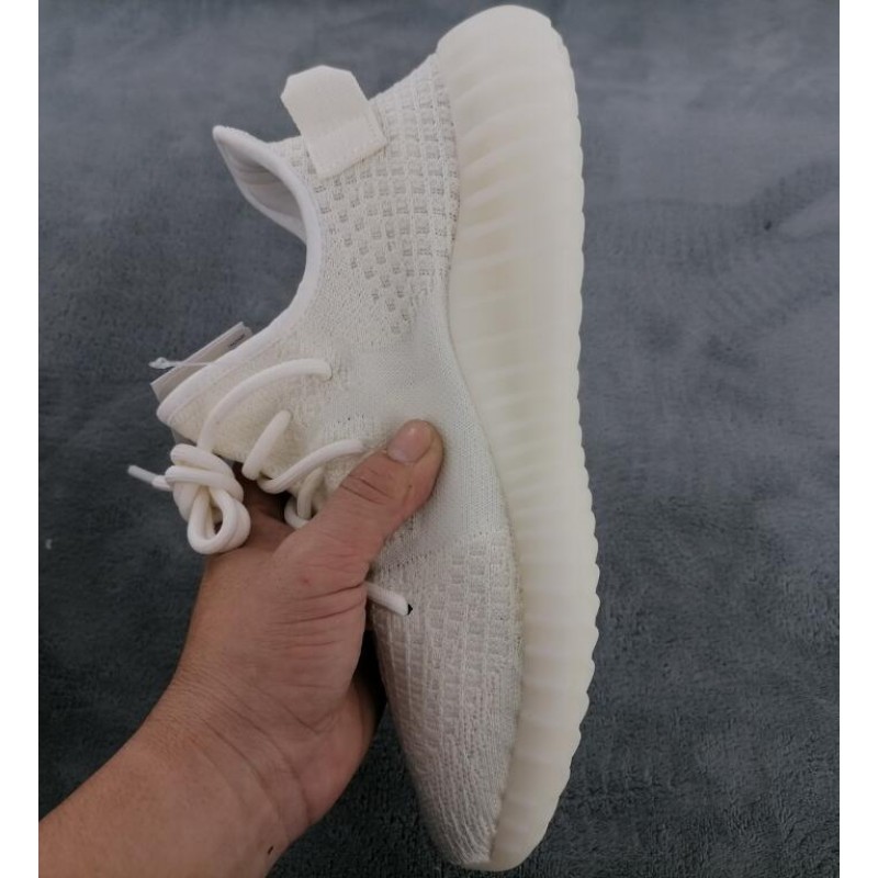 V2 Bone 1:1